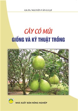 Cây có múi, giống và kỹ thuật trồng