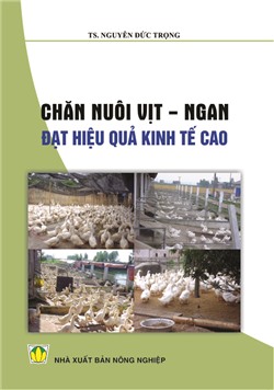 Chăn nuôi vịt - ngan đạt hiệu quả kinh tế cao