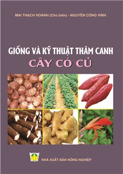 Giống và kỹ thuật thâm canh cây có củ