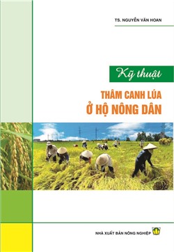 Kỹ thuật thâm canh lúa ở hộ nông dân 