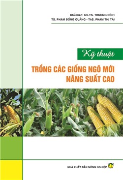 Kỹ thuật trồng các giống ngô mới năng suất cao