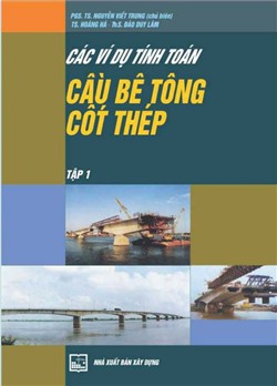 Các ví dụ tính toán cầu bê tông cốt thép theo tiêu chuẩn mới 22 TCN 272-01 (Tập 1)