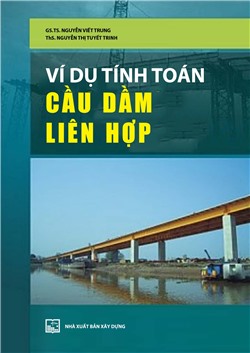 Các ví dụ tính toán cầu dầm liên hợp