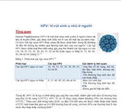HPV: Vi-rút sinh u nhú ở người